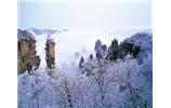 春節(jié)旅游：張家界、袁家界、天子山、寶峰湖/黃龍洞度假二晚三日游